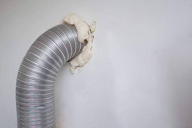 istockphoto-2217143499-612x612